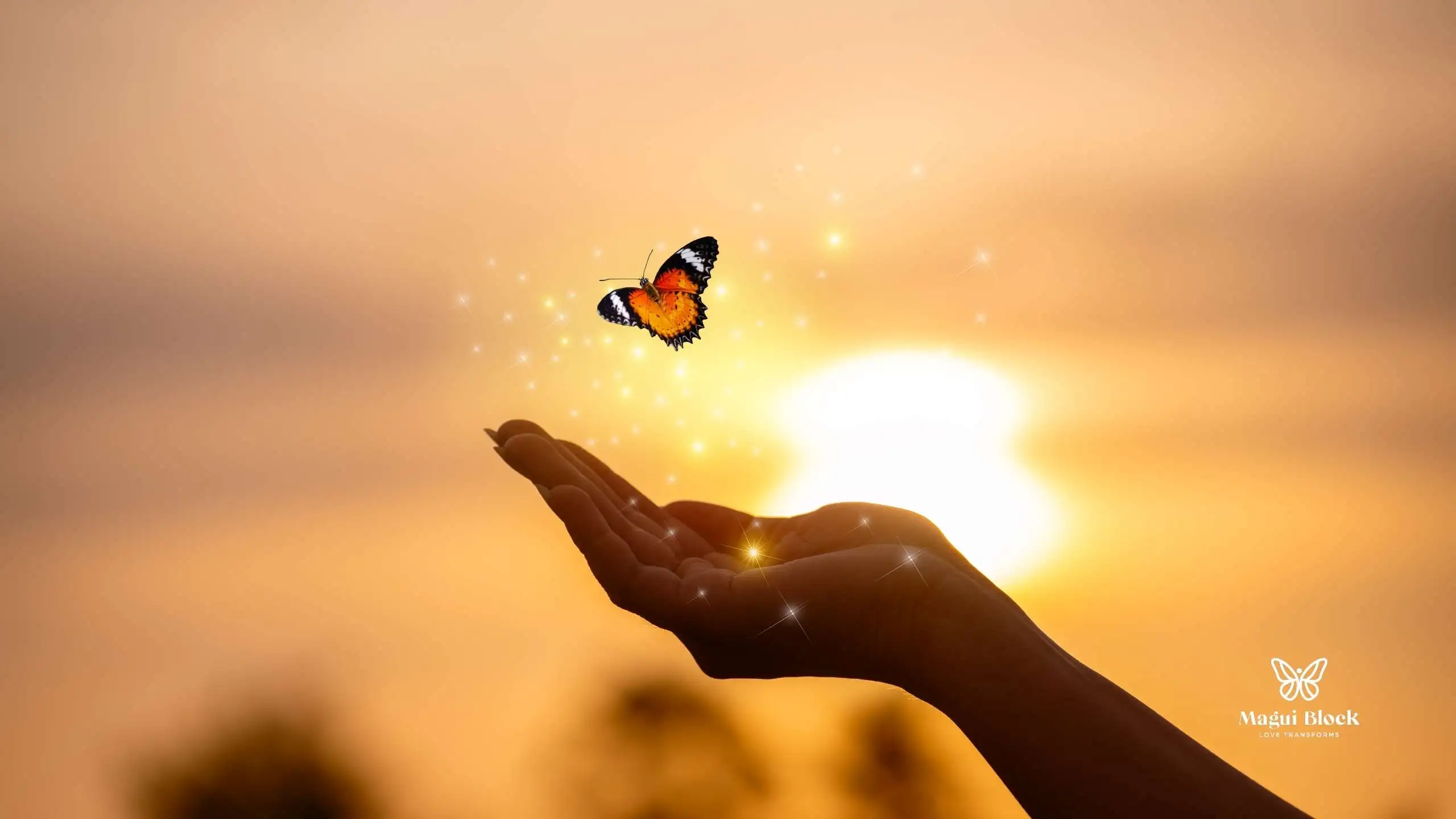 Mano de persona con un fondo de un atardecer brillante con brillo salien do de su mano y una mariposa levantando el vuelo fases del método magui block